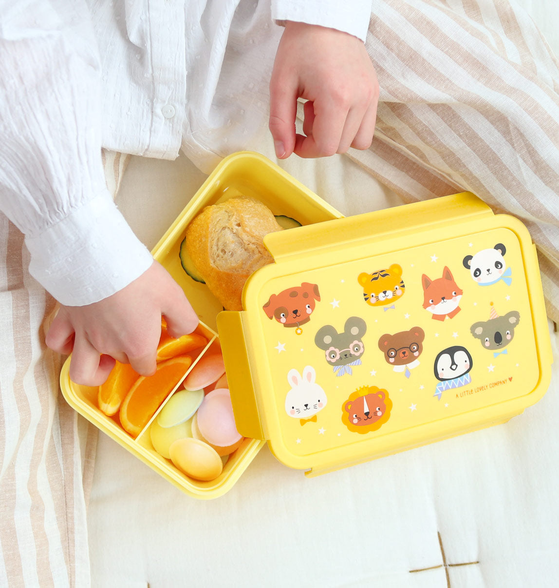 Bento-Lunchbox: Tierfreunde