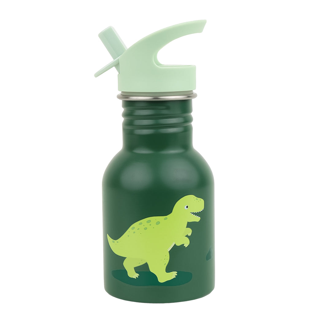 Kleine Edelstahl-Trinkflasche: Dinosaurier