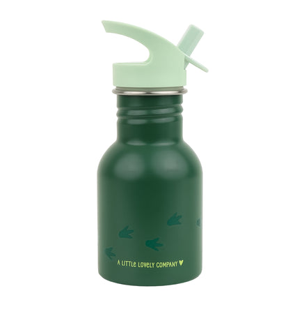 Kleine Edelstahl-Trinkflasche: Dinosaurier