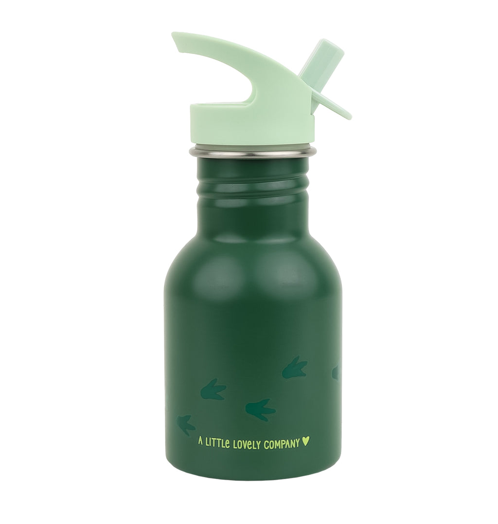 Kleine Edelstahl-Trinkflasche: Dinosaurier