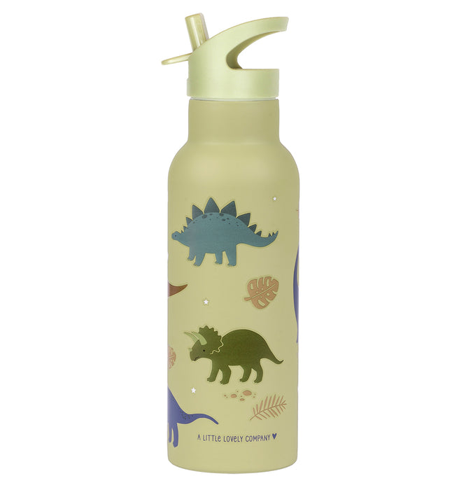 XL-Edelstahl-Trinkflasche: Dinosaurier