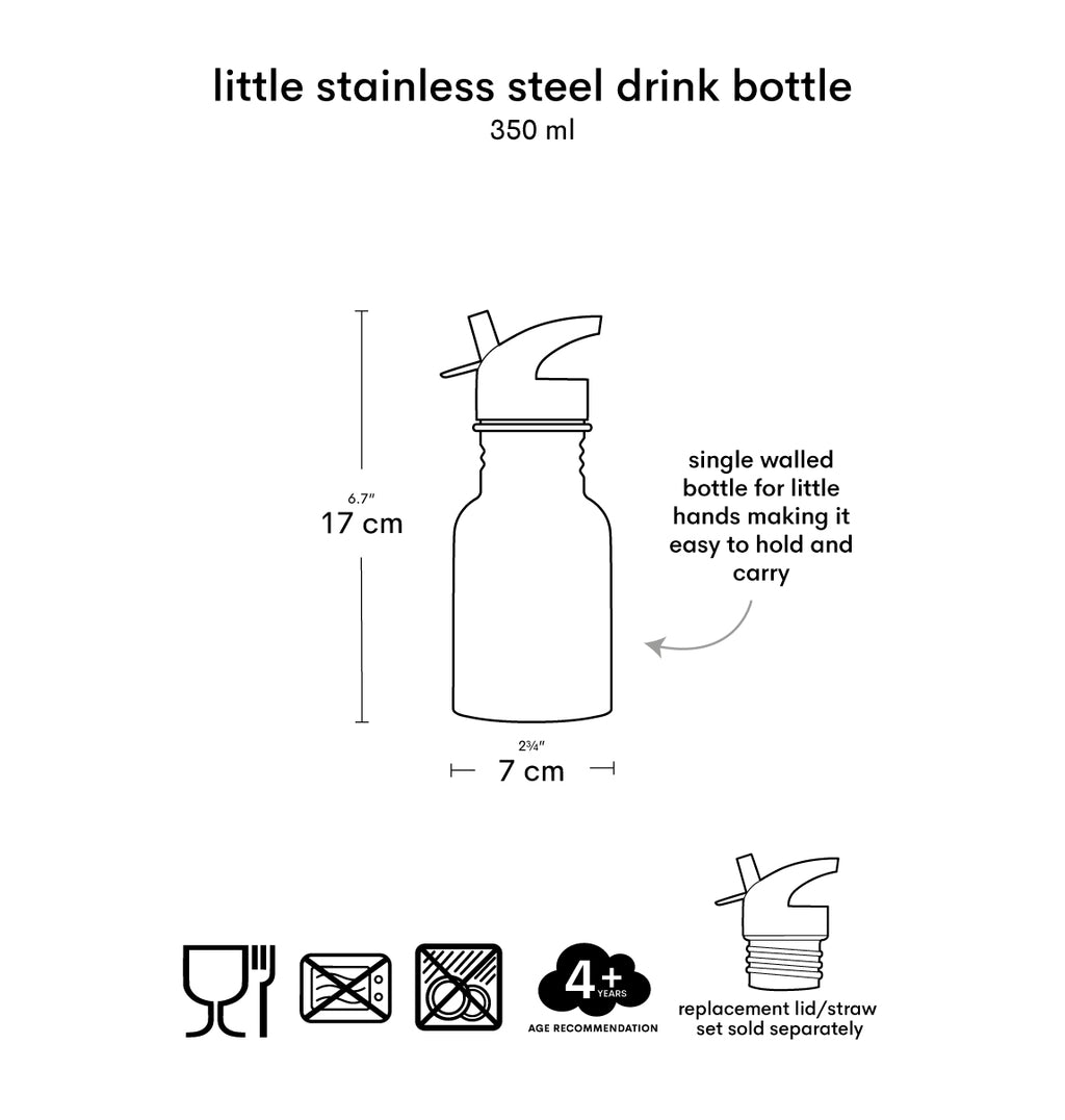 Kleine Edelstahl-Trinkflasche: Dinosaurier
