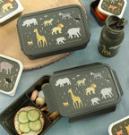 Bento-Lunchbox: Savanne