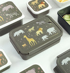 Bento-Lunchbox: Savanne