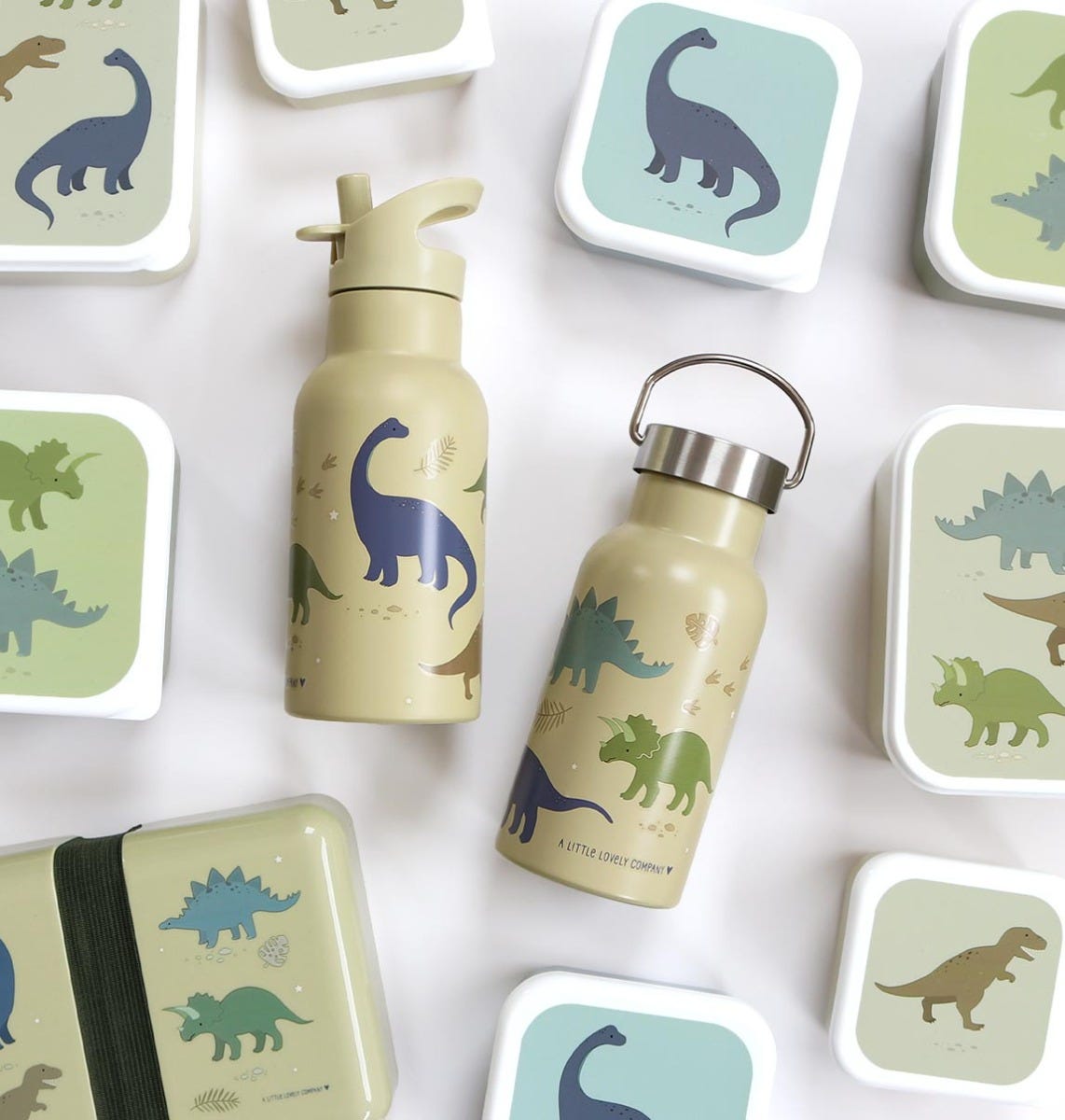 Edelstahl-Trinkflasche: Dinosaurier