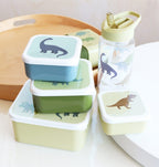 Brot- und Snackdosen Set: Dinosaurier